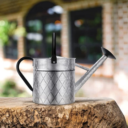 1.75 Gallon Outdoor Galvanized Metal Watering Can for Garden Plants, Vintage Zinc Watering Can with Removable Spray Spout, Ideal for Outdoor Use (Silver)