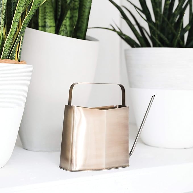 Modern Sprout Brass Finish Plant Watering Can - 3L Capacity - Long Spout Stainless Steel Vessel for Outdoor & Indoor Plants - Rust Resistant - Garden Accessory for Houseplants & Decorative Use