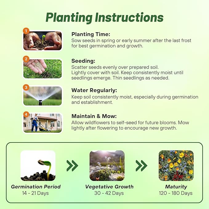 Outsidepride Gulf Coast Wildflower Seed Mix - 1/4 lb Perennial & Annual Wild Flowers for Full Sun & Partial Shade - Ideal for Pollinator Gardens & Vibrant Landscapes for Southern Florida & Texas