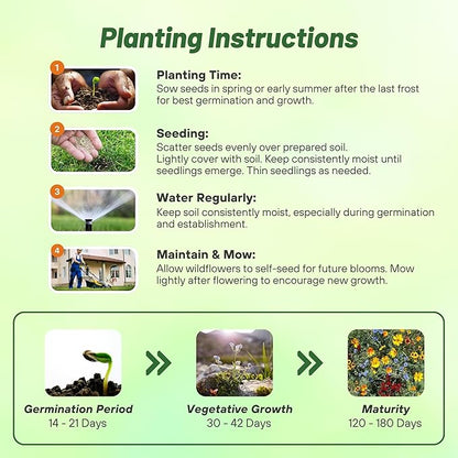 Outsidepride Gulf Coast Wildflower Seed Mix - 1 lb Perennial & Annual Wild Flowers for Full Sun & Partial Shade - Ideal for Pollinator Gardens & Vibrant Landscapes for Southern Florida & Texas