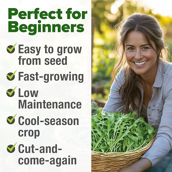 HOME GROWN Arugula Seed 2 Pack – 4350 Vegetable Seeds – Non GMO Ideal Seeds for Hydroponic Garden Indoor – Premium and Heirloom Arugula Seeds for Planting (Eruca vesicaria)