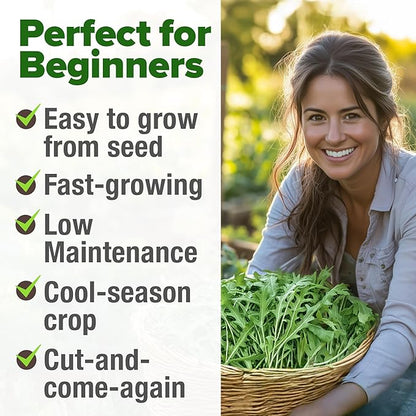 HOME GROWN Arugula Seed 2 Pack – 4350 Vegetable Seeds – Non GMO Ideal Seeds for Hydroponic Garden Indoor – Premium and Heirloom Arugula Seeds for Planting (Eruca vesicaria)