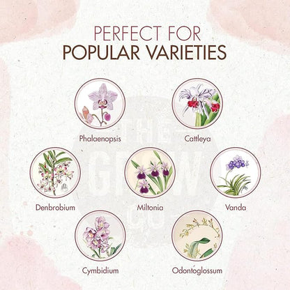 Organic Ready to Spray Orchid Food Mist - Bloom Booster Fertilizer for Orchids in Pots - Plant Nutrients for Healthy Flower & Reblooms (8 oz)