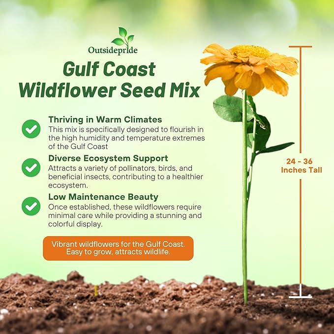 Outsidepride Gulf Coast Wildflower Seed Mix - 1/4 lb Perennial & Annual Wild Flowers for Full Sun & Partial Shade - Ideal for Pollinator Gardens & Vibrant Landscapes for Southern Florida & Texas