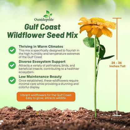 Outsidepride Gulf Coast Wildflower Seed Mix - 1/4 lb Perennial & Annual Wild Flowers for Full Sun & Partial Shade - Ideal for Pollinator Gardens & Vibrant Landscapes for Southern Florida & Texas