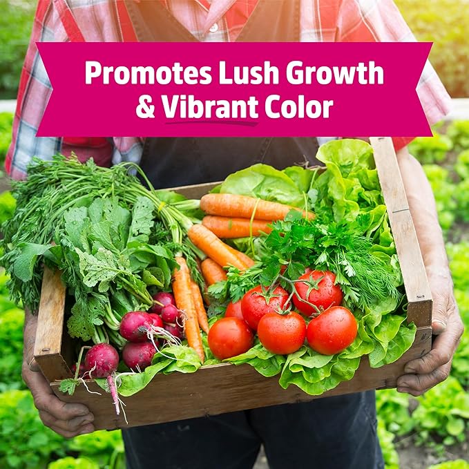 Back to The Roots 100% Organic Blood Meal | Made in The USA | Premium Nutrition for Indoor and Outdoor Plant Gardening