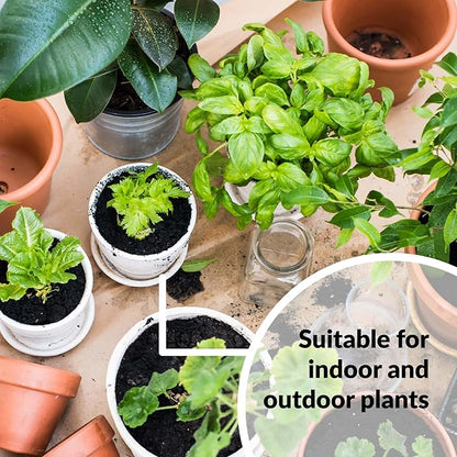 SUPERthrive Plant Vitamin Solution, 1 Gallon, Clear