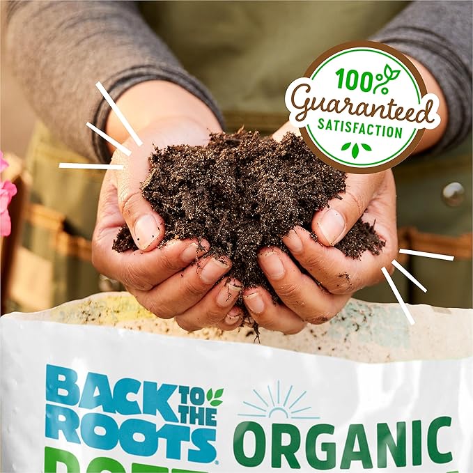 Back to The Roots 100% Organic Potting Mix (Value 12 Quart) | Premium Blend | Made in The USA