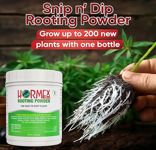Hormex Rooting Powder #1 (0.10 IBA)- Rooting Hormone for Delicate Houseplants, Garden Herbs & Succulent Cuttings - Root Stimulator for Plant Cloning - Strong Growth for Maximum Propagation Success,1LB