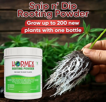 Hormex Rooting Powder #1 (0.10 IBA)- Rooting Hormone for Delicate Houseplants, Garden Herbs & Succulent Cuttings - Root Stimulator for Plant Cloning - Strong Growth for Maximum Propagation Success,1LB