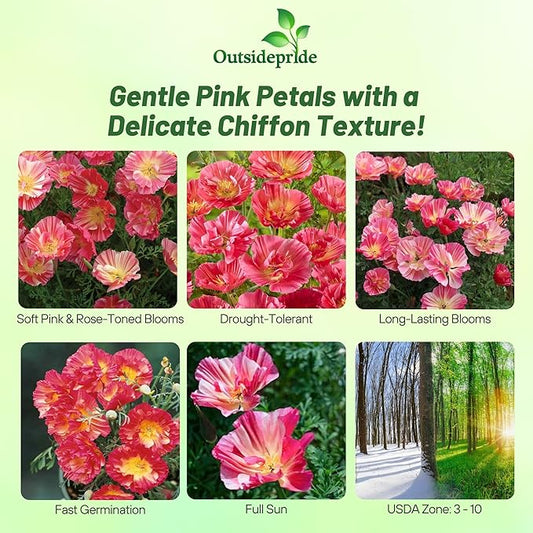 Outsidepride California Rose Chiffon Poppy Seeds for Planting - 200 Pcs Annual, Drought-Tolerant & Easy to Grow Wildflower Seeds with Vibrant Pink Blooms for Landscaping, & Pollinator Garden