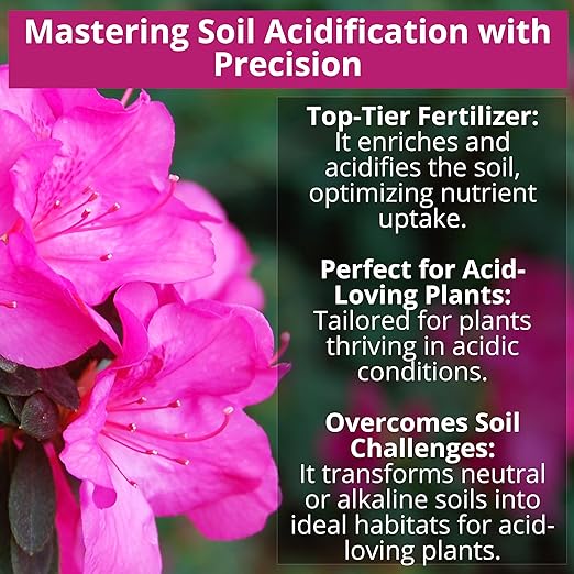 8-4-8 Acidic Fertilizer for Azaleas, Camellias (Camelia), Hydrangeas, Blueberries, Gardenias, Magnolia Trees, Evergreens, and Rhododendrons - Ideal Iron-Rich Plant Food (1/2 Quart)