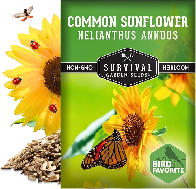 Survival Garden Seeds - Common Sunflower (Helianthus annuus) Seeds for Planting | Giant Bird & Pollinator Magnet | Fast-Growing Native Wildflower - 1 Pack