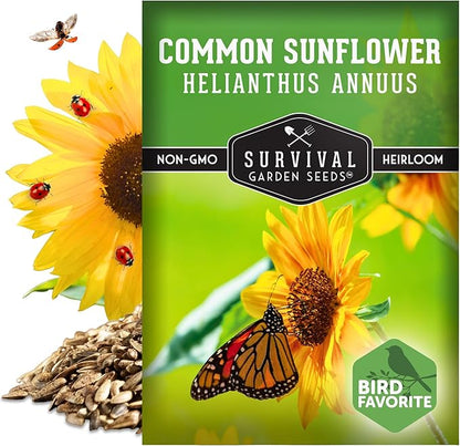 Survival Garden Seeds - Common Sunflower (Helianthus annuus) Seeds for Planting | Giant Bird & Pollinator Magnet | Fast-Growing Native Wildflower - 1 Pack