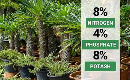 8-4-8 Professional Palm Tree Fertilizer Plant Food; for Indoor Potted Plants and Outdoor Landscape Palm Trees; Quick-Release Nitrogen Fertilizer and Continuous Feeding (1 Quart)