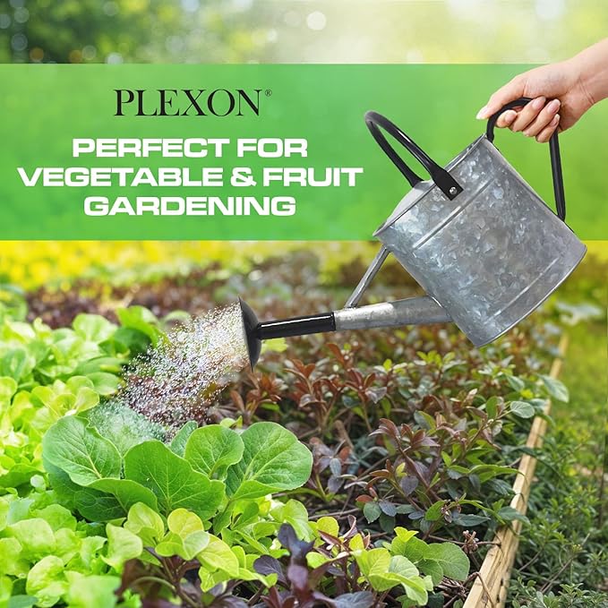 Plexon 1 Gallon Metal Watering Can Outdoor, Flower Plant Gardening Garden Large Galvanized Watering Can Pot Pitcher, Steel Black Handles and Removable Spray Spout