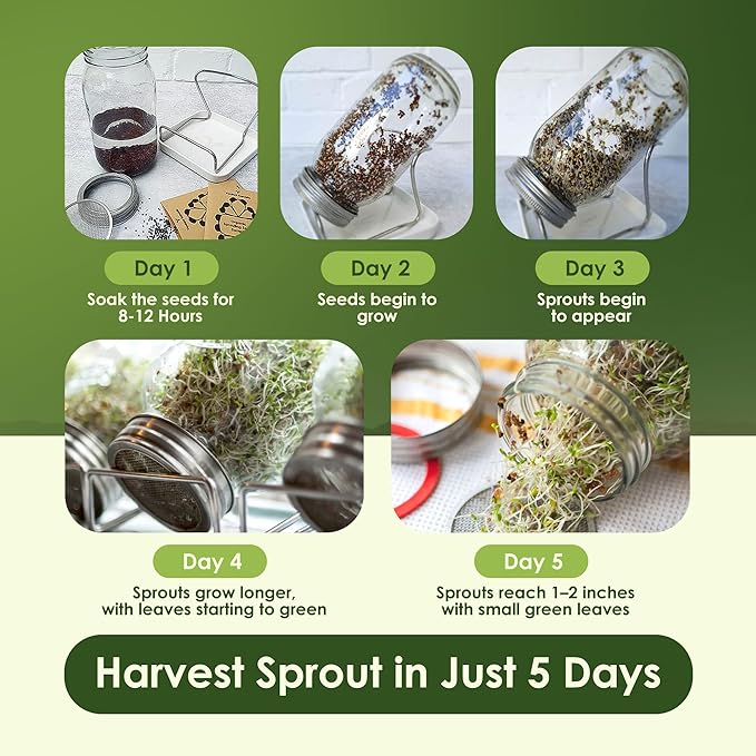 Nature Jims Broccoli Sprouts & Radish Seeds – Organic Broccoli Sprouts, Organic Radish Seeds, Non-GMO for Indoor/Outdoor Growing, Microgreens Bundle, 8oz + 16oz