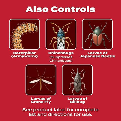 Scotts GrubEx1 Season Long Grub Killer, Protects Lawns Up to 4 Months, 10,000 sq. ft., 28.7 lbs.