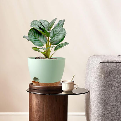 10 inch Self Watering Pots, 2 Pack Plastic Planters with Mesh Drainage Holes for Garden Plants and Flower, Plants Pots with Deep Reservoir for Indoor Outdoor Plants, Green with Brown