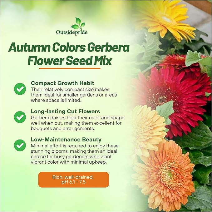 Outsidepride Autumn Colors Mix Gerbera Seeds - 10 Pcs Perennial, Compact & Low Maintenance, Flower Seeds for Planting w/Vibrant Mixed Blooms, Ideal for Garden Landscaping & Cut Flower Arrangements