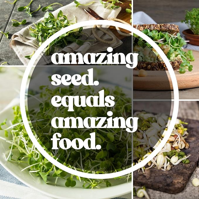 Protein Powerhouse Sprouting Seed Mix: 2.5 Lb - Organic, Non-GMO - Sprouting Sprouts, Food Storage. High Protien Sprouts - Pea, Mung, Green Pea, Adzuki