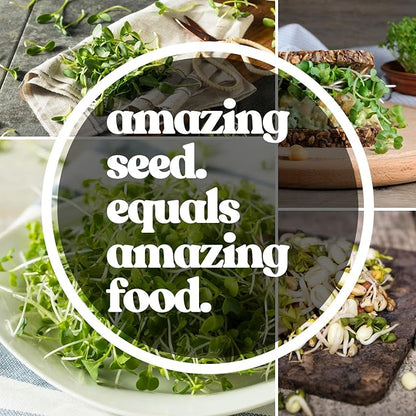 Green Mustard Microgreens Seeds - 1 Oz ~18,000 Seeds - Grow Non-GMO Micro Mustard Herb Greens - Premium Seed - High Germination Rate