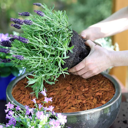 Halatool 6 Pcs Coco Husk Chips for Plants - 6.6 LB 100% Organic Coconut Coir Chips with Low EC and pH Balanced, Compressed Coco Substrate Growing Mulch Medium for Landscaping, Herbs, Plants, Flowers