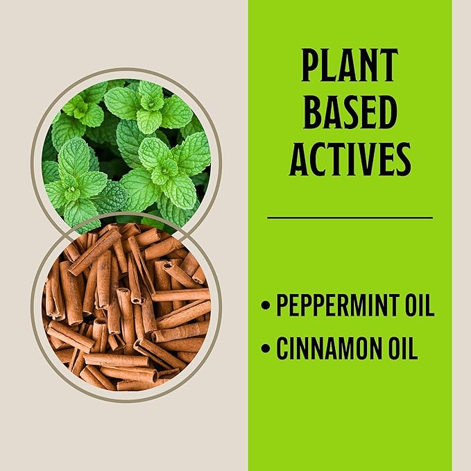 Grandpa Gus's Rodent Repellent Spray, Peppermint & Cinnamon Oil, Prevents Mouse/Rats from Nesting & Chewing on Wires, 16 fl oz (1 Bottle)