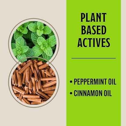 Grandpa Gus's Rodent Repellent Spray, Peppermint & Cinnamon Oil, Prevents Mouse/Rats from Nesting & Chewing on Wires, 16 fl oz (1 Bottle)