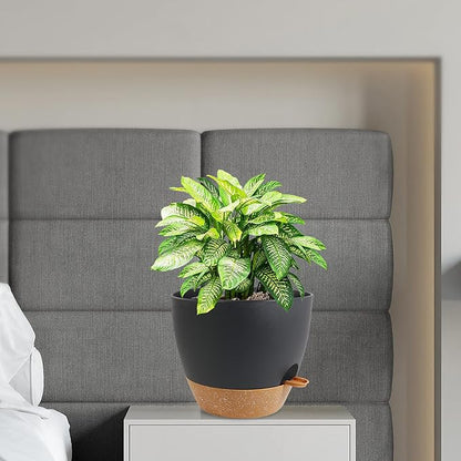 12 inch Large Self Watering Pots, Flower Plant Pots with Drainage Holes for Indoor Outdoor Garden Plants, Plastic Planters with Removable Deep Reservoir, Black with Brown