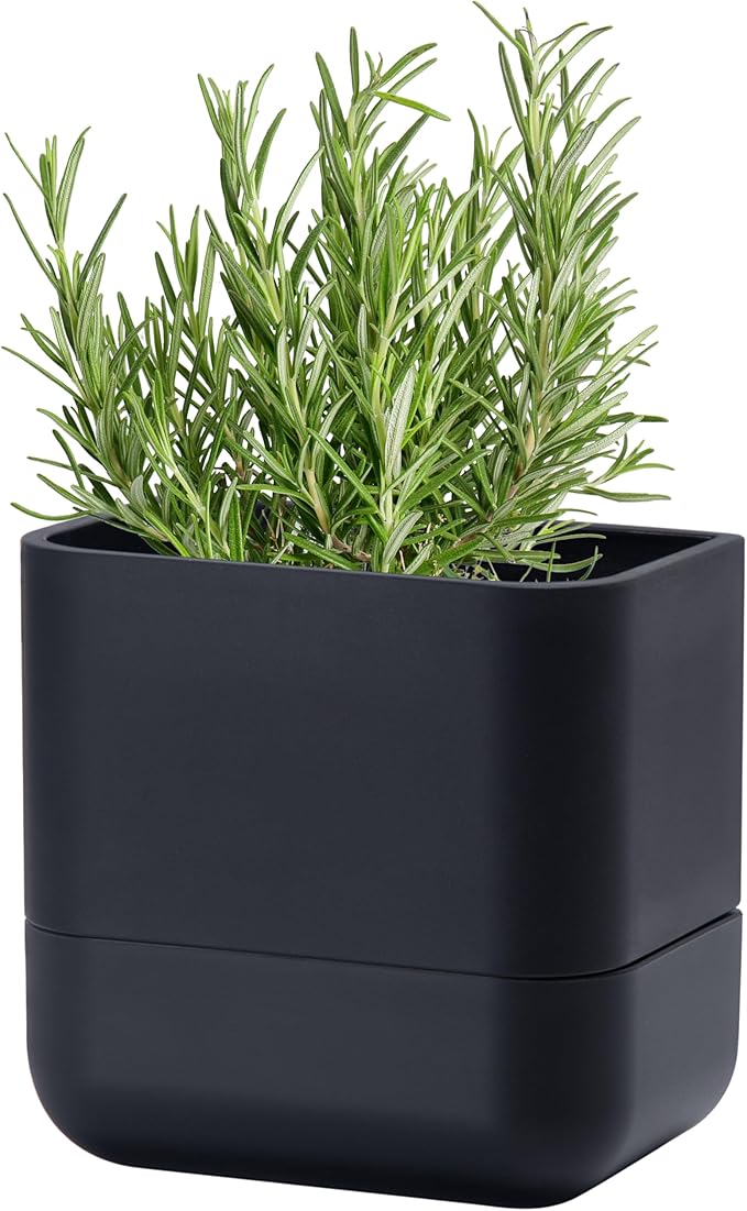 Phoenix Vine 6.5-Inch Wall Mounted Self-Watering Planter Pot for Indoor Houseplants and Herbs | Modern Hanging Planter for Window Sills, Bathroom Walls, Home & Office Décor, Black, Set of 1, 01-WP-B-1