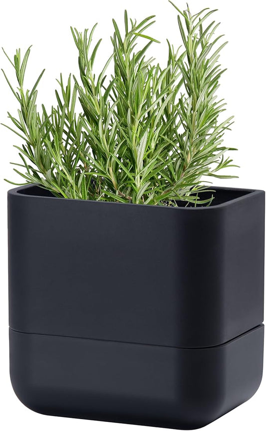 Phoenix Vine 6.5-Inch Wall Mounted Self-Watering Planter Pot for Indoor Houseplants and Herbs | Modern Hanging Planter for Window Sills, Bathroom Walls, Home & Office Décor, Black, Set of 1, 01-WP-B-1