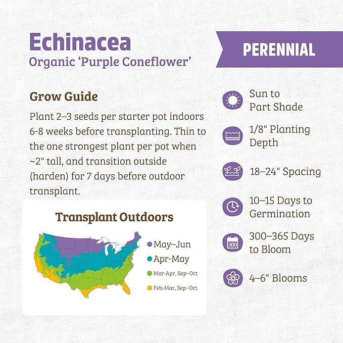 Back to The Roots 100% Organic Seed Packet - Echinacea 'Purple Coneflower' 210mg