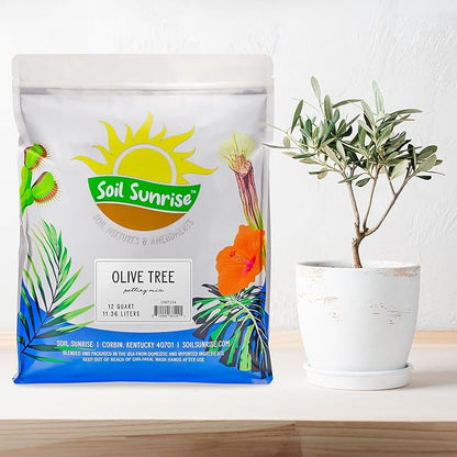 Soil Sunrise Olive Tree Potting Soil Mix (12 Quarts) for Planting, Repotting, and Growing Olive Bushes/Plants