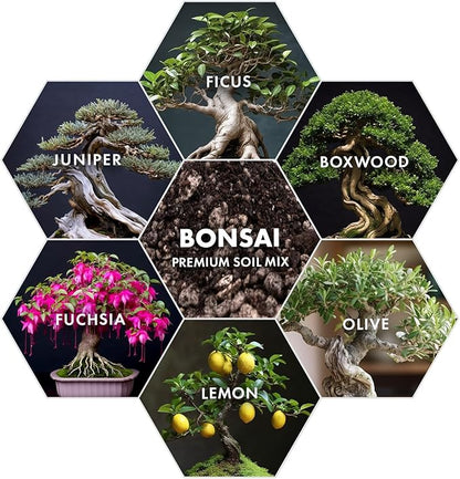 Premium Bonsai Soil Mix for Thriving Indoor Bonsai Trees - Perfect Potting Soil for All Bonsai Varieties - Organic Blend for Optimal Growth - Indoor Plant Soil - 4 Quarts