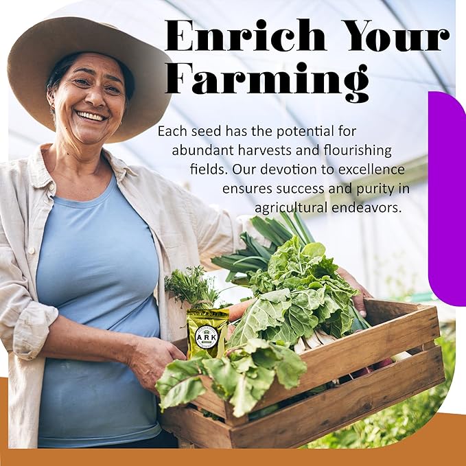 Patio Kit - 2000 Seeds for Red Cherry Tomato, California Bell Pepper, Boston Pickling Cucumber, Berry Belle Radish, Salad Bowl Lettuce, Basil, & Cilantro - Indoor and Outdoor Gardening