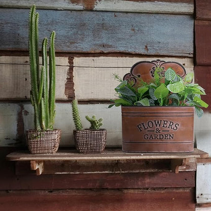 CVHOMEDECO. Farmhouse Metal Wall Planter Rustic Galvanized Flower Holder Wall Mount Flower pots for Indoor, Outdoor and Wall Decor, Set of 2 (Rusty)