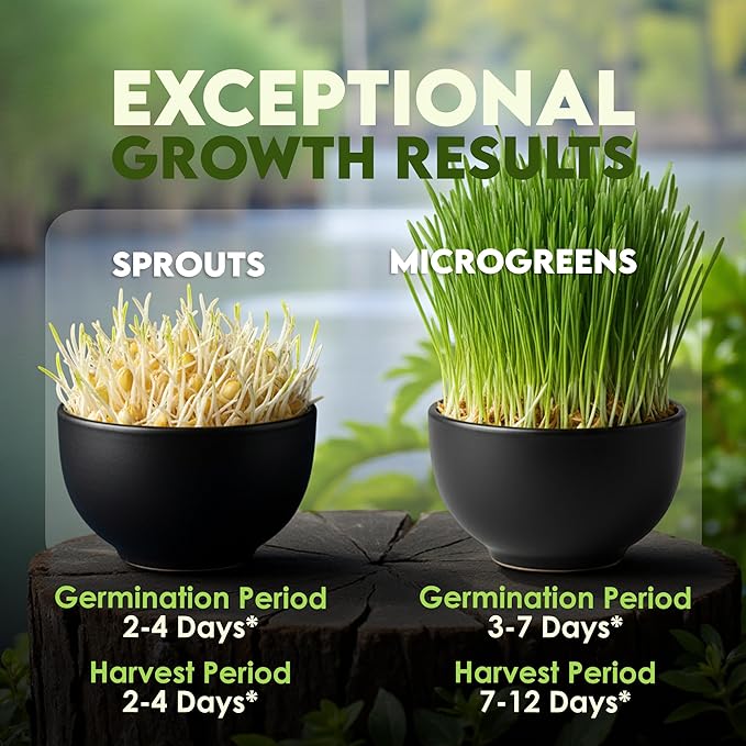 Nature Jims Sprouts Wheat Grass Seeds – Non-GMO Organic Seeds for Planting, Cat Grass Kit Planter & Sprouting –Resealable Bag for Fresh Wheatgrass Sprouts – Packed with Vitamins, Fiber & Minerals–16oz