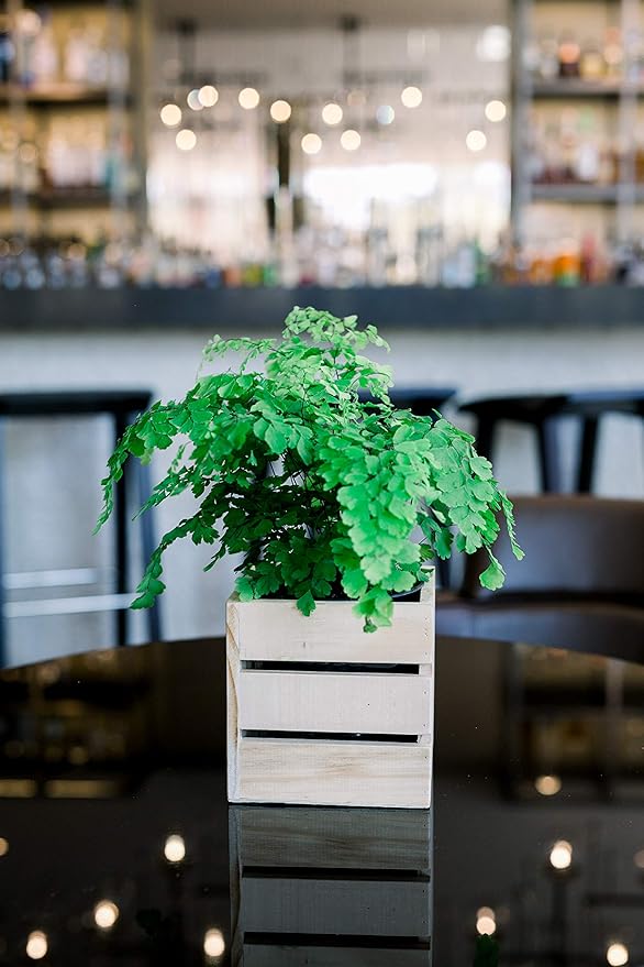 Wood Planter Box with Wine Crate Styled, 5 Inch Square, Rose Wood, Plastic Liner, Garden Centerpiece Display, Wedding Flowers Holder, Home and Venue Decor (5x5 Wine Crate Set of 4, Rose Wood)