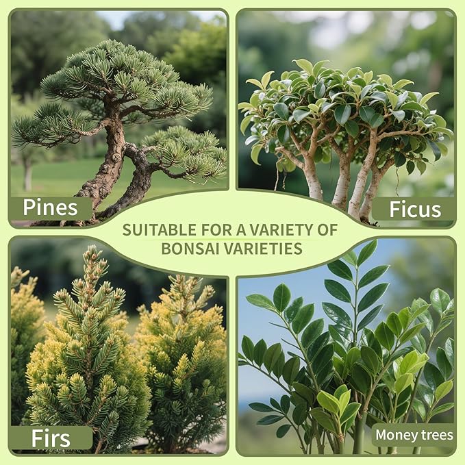 Premium Bonsai Soil 4qt- Aerated & Fast-Draining for Bonsai Pots, Promotes Healthy Growth