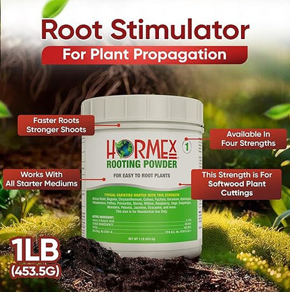 Hormex Rooting Powder #1 (0.10 IBA)- Rooting Hormone for Delicate Houseplants, Garden Herbs & Succulent Cuttings - Root Stimulator for Plant Cloning - Strong Growth for Maximum Propagation Success,1LB