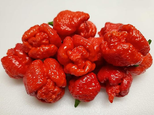 Trinidad Moruga Scorpion Hot Pepper seeds-10+ Seeds