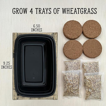 Whetagrass Kits (Wheatgrass Grow Kit - Custom Box)