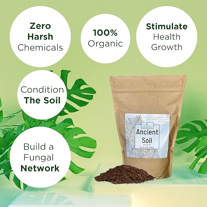 Elm Dirt Premium Ancient Soil for All Plants - Organic for Outdoor & Indoor Use | Garden Soil for Plant Nutrients Growth & Protect From Bugs - Roots Organic, 10lbs
