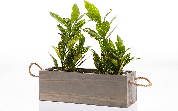 Wooden Planter Box with Handle I Rustic Barn Wood, Plastic Liner l Garden Decor l Restaurant and Wedding Decorations l Wedding Table Centerpiece (12x4 w Handle Set of 4, Natural)