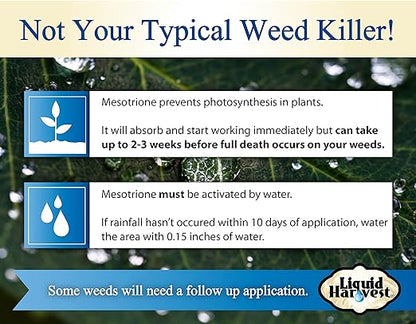 Liquid Harvest Mesotrione - 32oz - Mesotrione Concentrate (Compare to Tenacity) - Pre and Post-Emergent Weed Killer for Lawn and Turf Grasses
