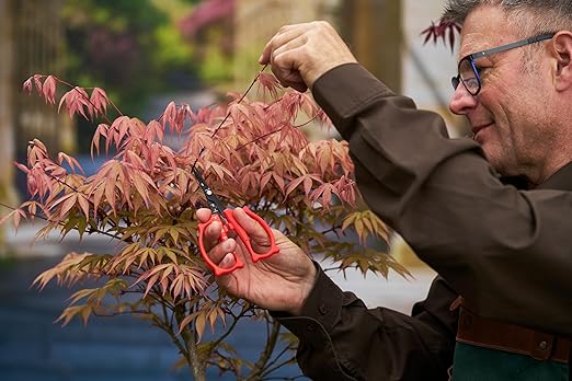 Felco 420 Trimming Scissors – 6.1" Garden Clippers with Fine Tip & Non-Stick Blade | Pruning Shears for Gardening | Garden Scissors for Plant with Stainless Steel Blade, Built-In Ruler