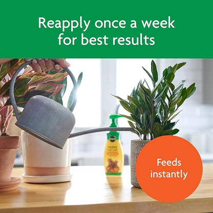 Miracle-Gro Indoor Potting Mix (6 qt.) and Indoor Plant Food (8 oz.) - Bundle for Growing and Fertilizing Houseplants