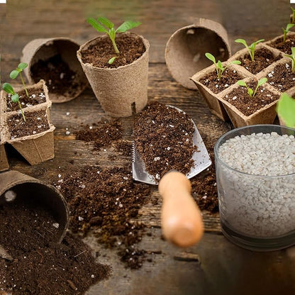 Horticultural Perlite for Plants 1qt, All Natural Horticultural Soil Additive Conditioner Mix, Improve Ventilation and Drainage, Enhance Soil Health and Root Growth