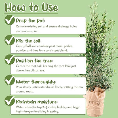 Soil Sunrise Olive Tree Potting Soil Mix (8 Quarts) for Planting, Repotting, and Growing Olive Bushes/Plants